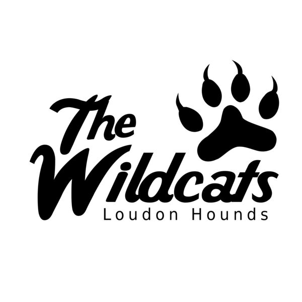 School Wildcats 01 Miniaturansicht