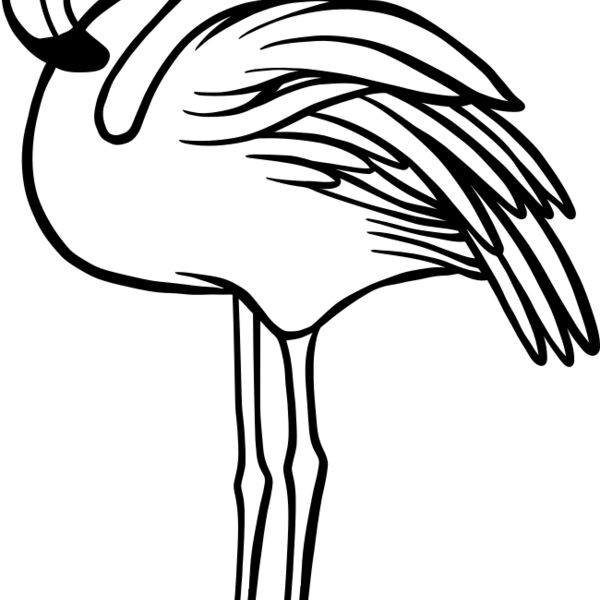 Flamingo   Clipart 1 Miniaturansicht