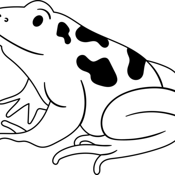 Frog   Clipart 1 Miniaturansicht