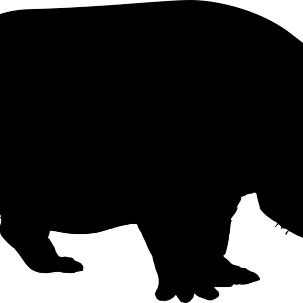 Hippopotamus   Clipart 1 Miniaturansicht