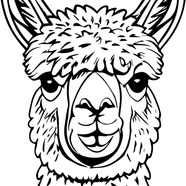 Lllama   Clipart 3 Miniaturansicht