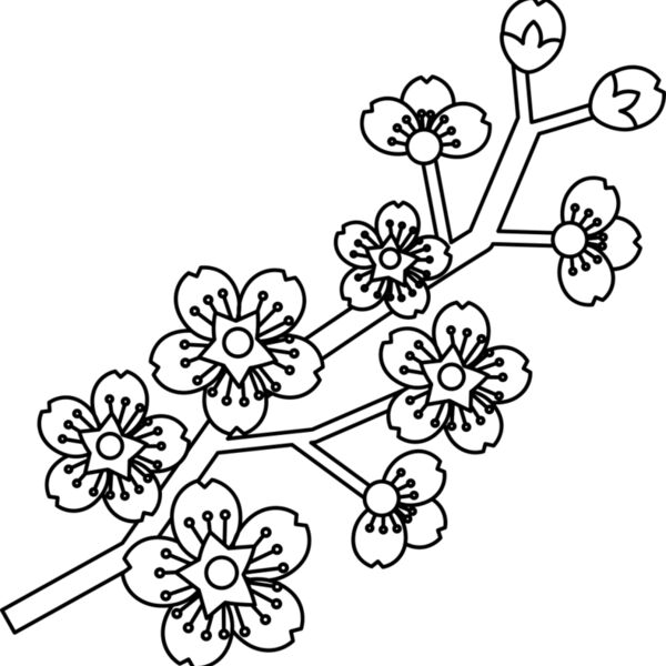 Cherry Blossom Branch Miniaturansicht