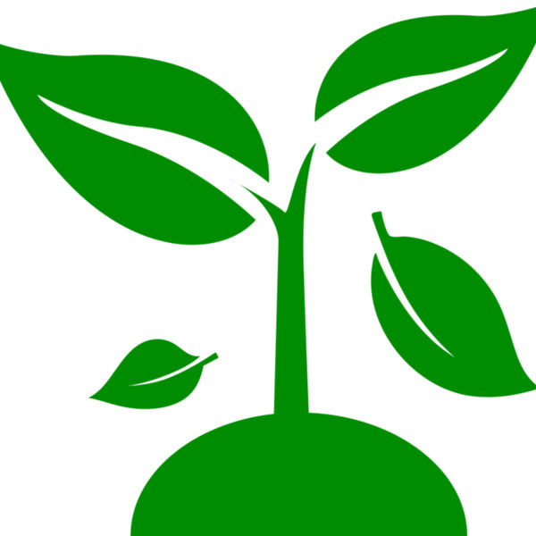 48 Plant Miniaturansicht