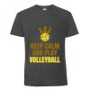 Herren T-Shirt Iconic 195 Ringspun Premium T Miniaturansicht