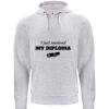 Clique Basic Hoody Miniaturansicht