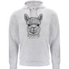 Clique Basic Hoody Miniaturansicht